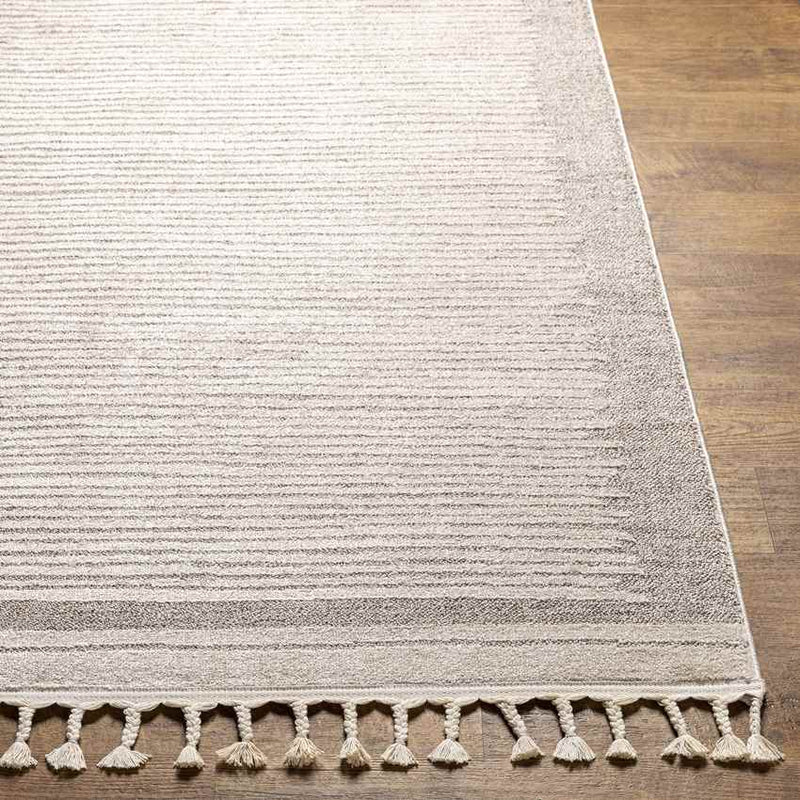 Orounta Modern Taupe Area Rug