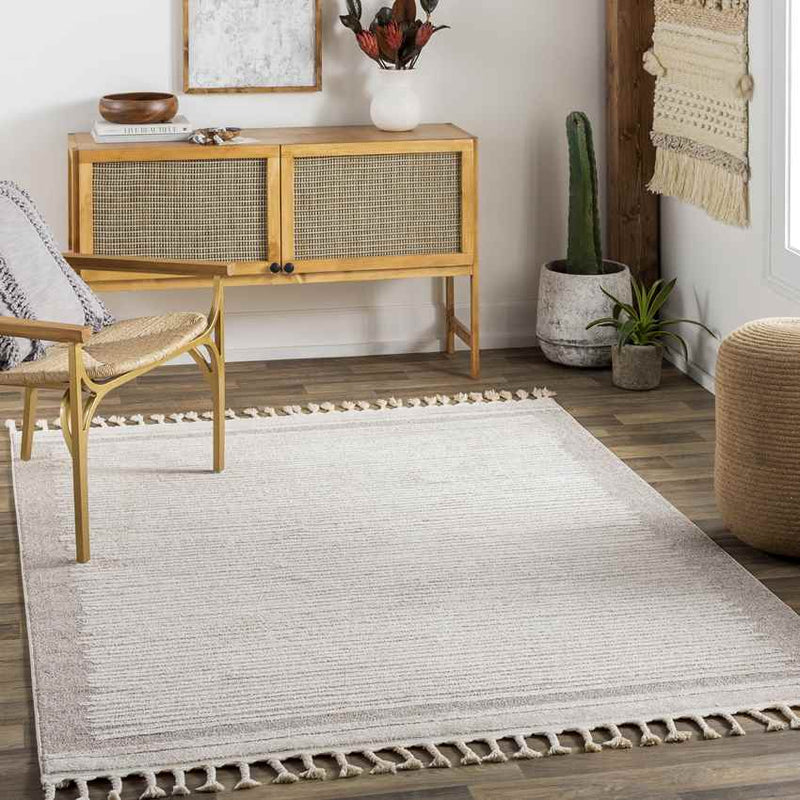 Orounta Modern Taupe Area Rug