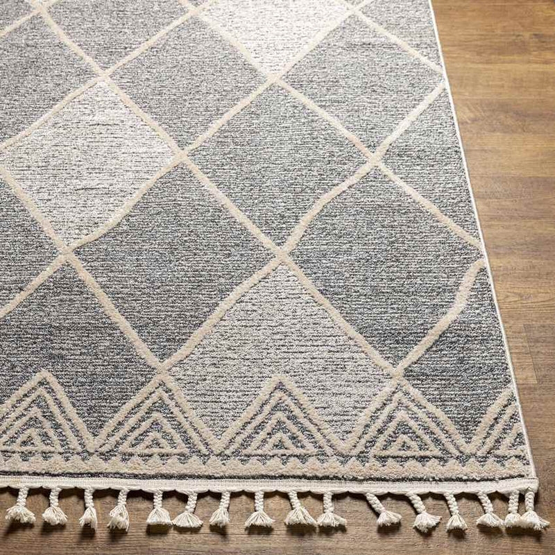 Kontemenos Global Gray Area Rug