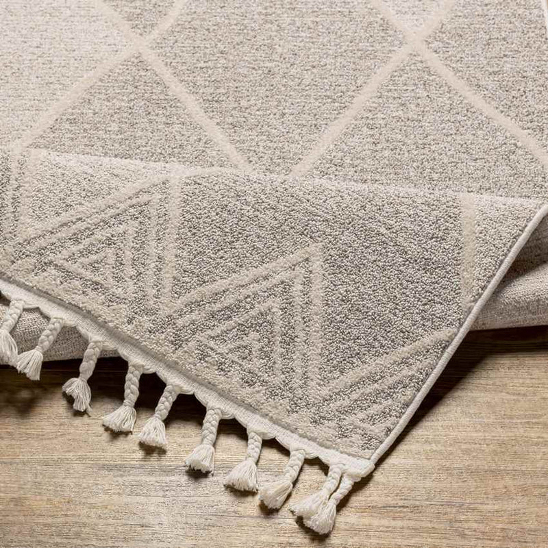 Kontemenos Global Light Gray Area Rug