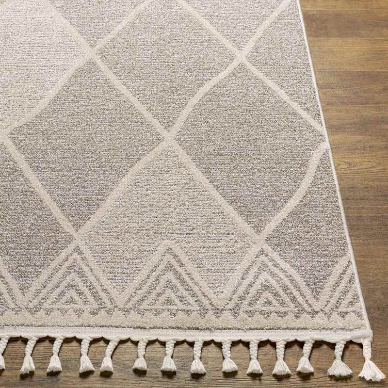 Kontemenos Global Light Gray Area Rug