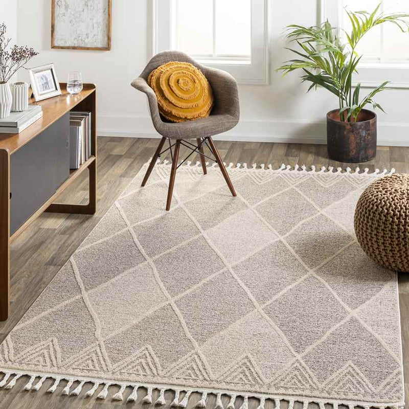 Kontemenos Global Light Gray Area Rug