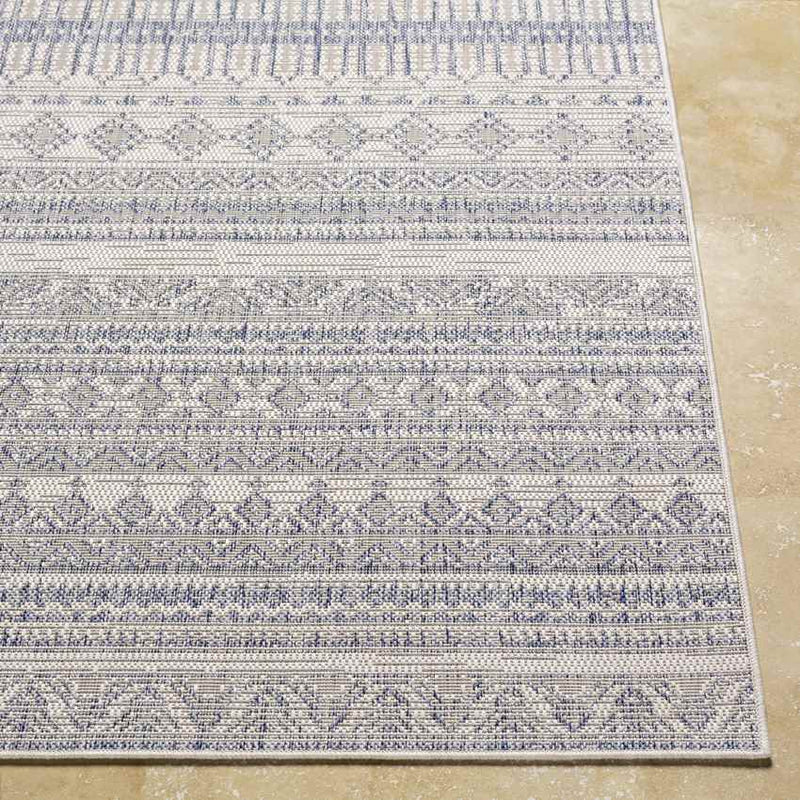 Keota Global Navy Area Rug