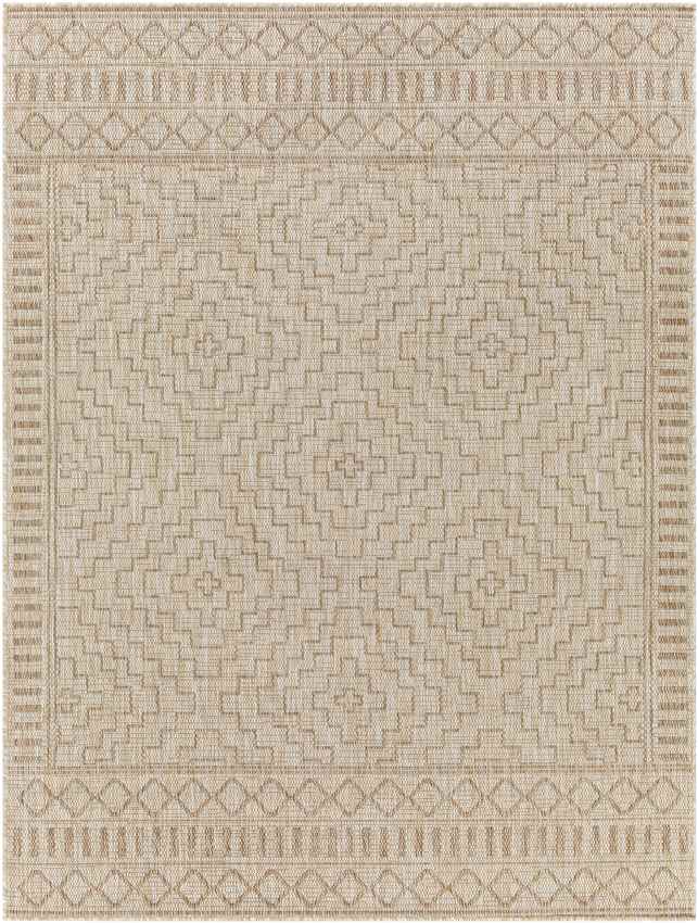 Kirkman Global Beige Area Rug