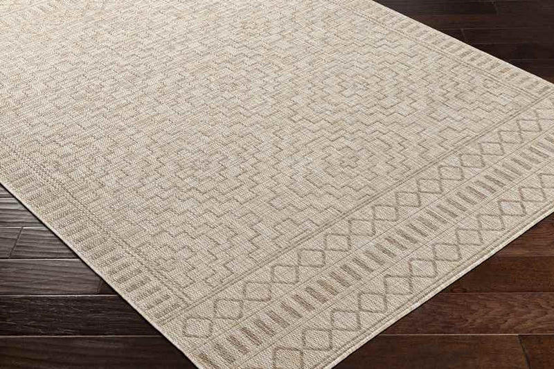 Kirkman Global Beige Area Rug