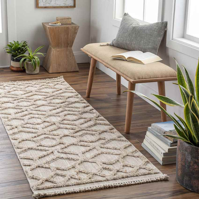 Le Mars Modern Beige Area Rug