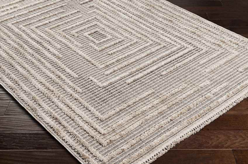 Lockridge Modern Gray Area Rug