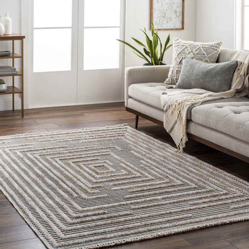 Lockridge Modern Gray Area Rug