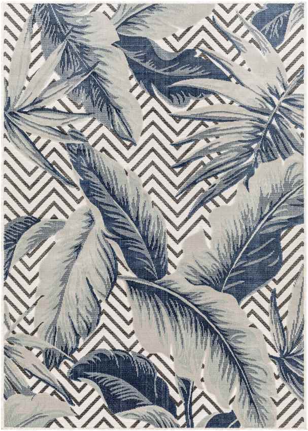 Delhi Coastal Denim Area Rug