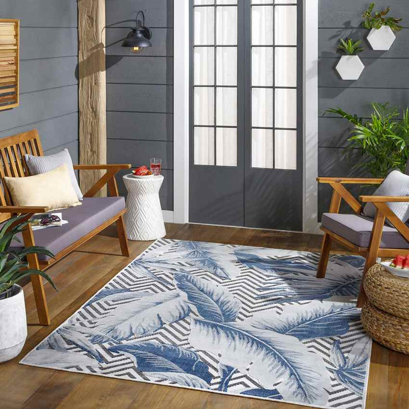 Delhi Coastal Denim Area Rug