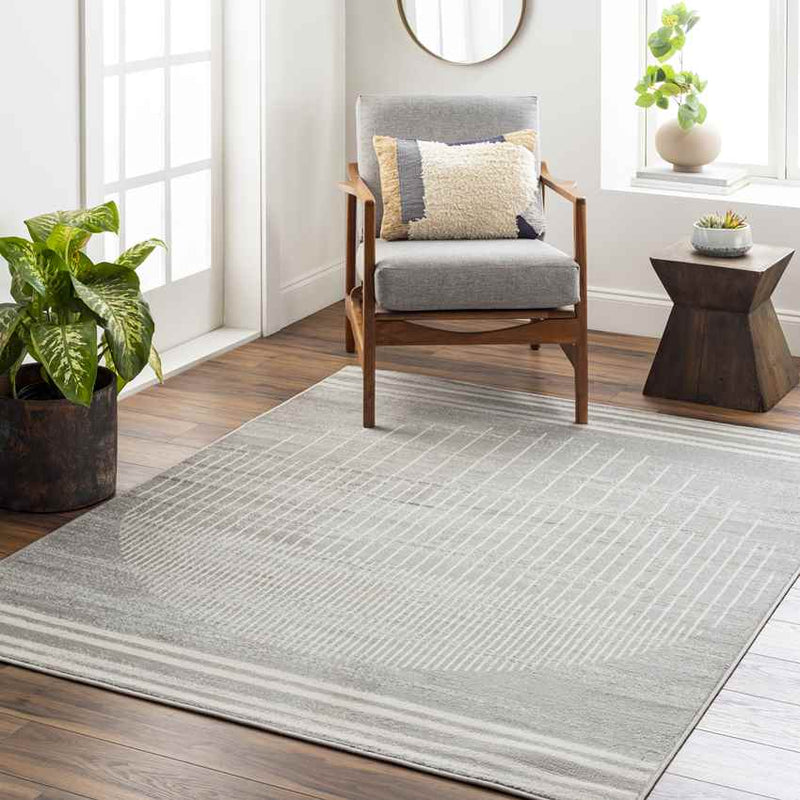 Neerbosch Modern Medium Gray Area Rug