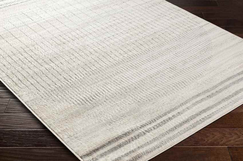 Neerbosch Modern Gray Area Rug