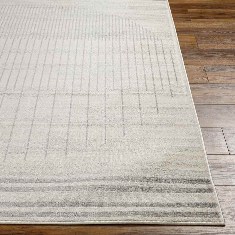 Neerbosch Modern Gray Area Rug