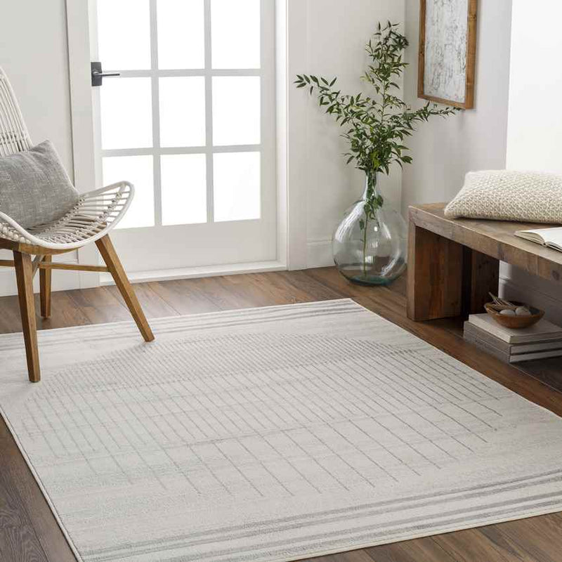 Neerbosch Modern Gray Area Rug