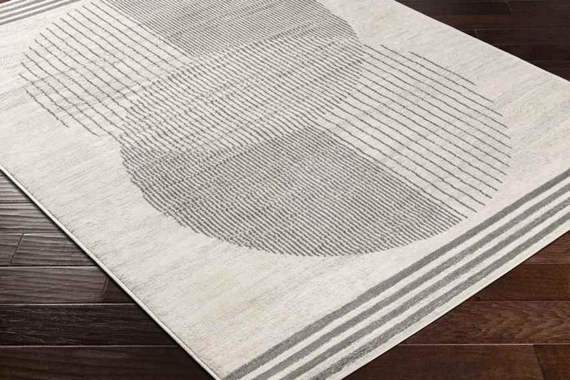 Lakin Modern Medium Gray Area Rug