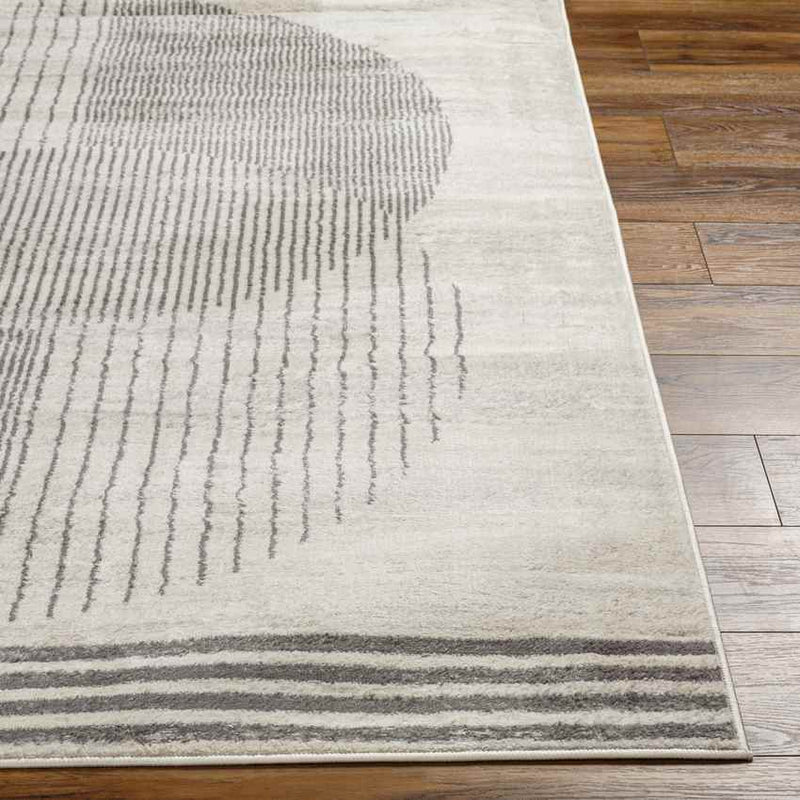 Lakin Modern Medium Gray Area Rug