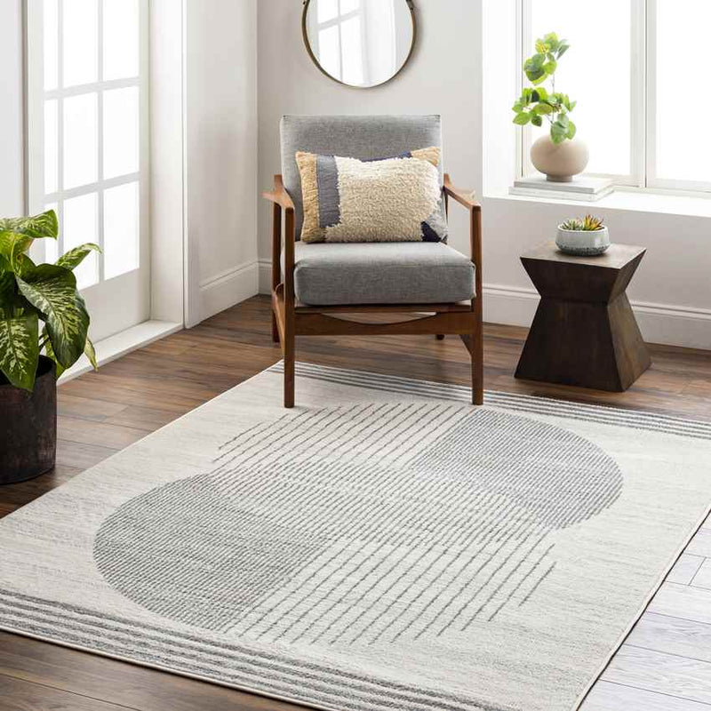 Lakin Modern Medium Gray Area Rug