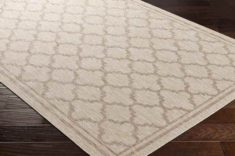 Agenda Traditional Beige Area Rug