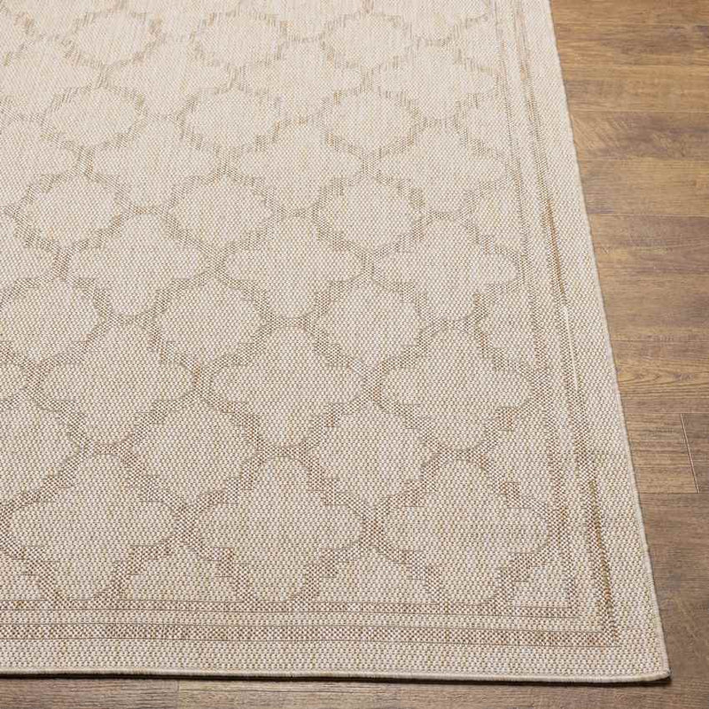 Agenda Traditional Beige Area Rug