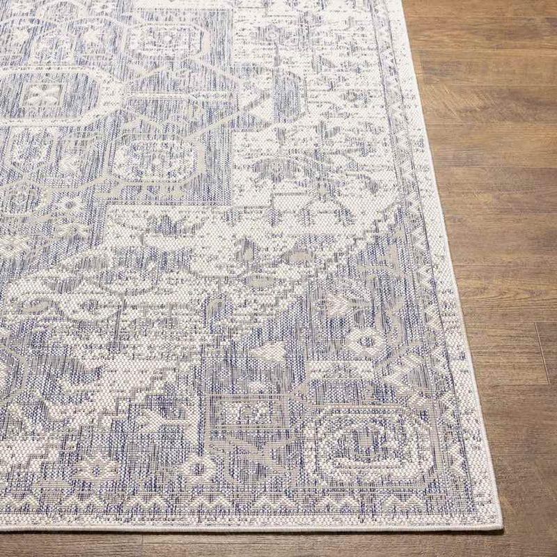 Alvord Traditional Denim Area Rug