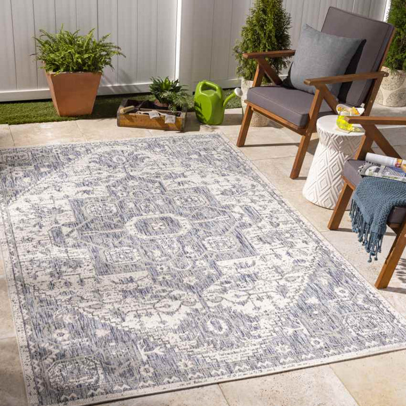 Alvord Traditional Denim Area Rug