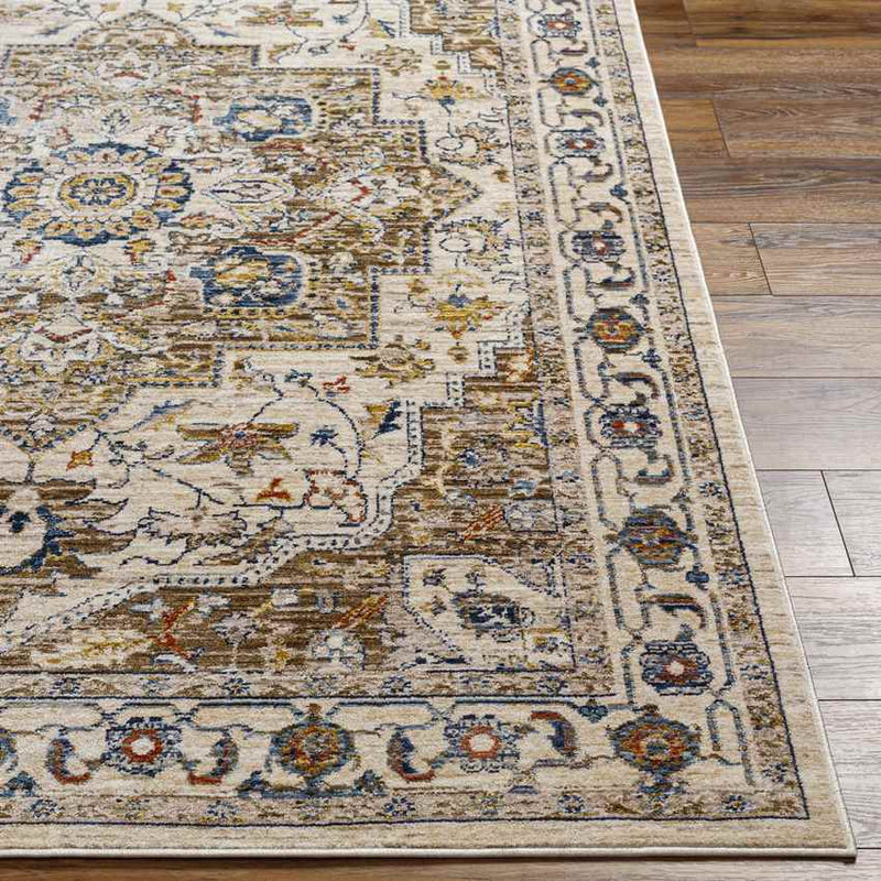 Asbury Traditional Brown Area Rug