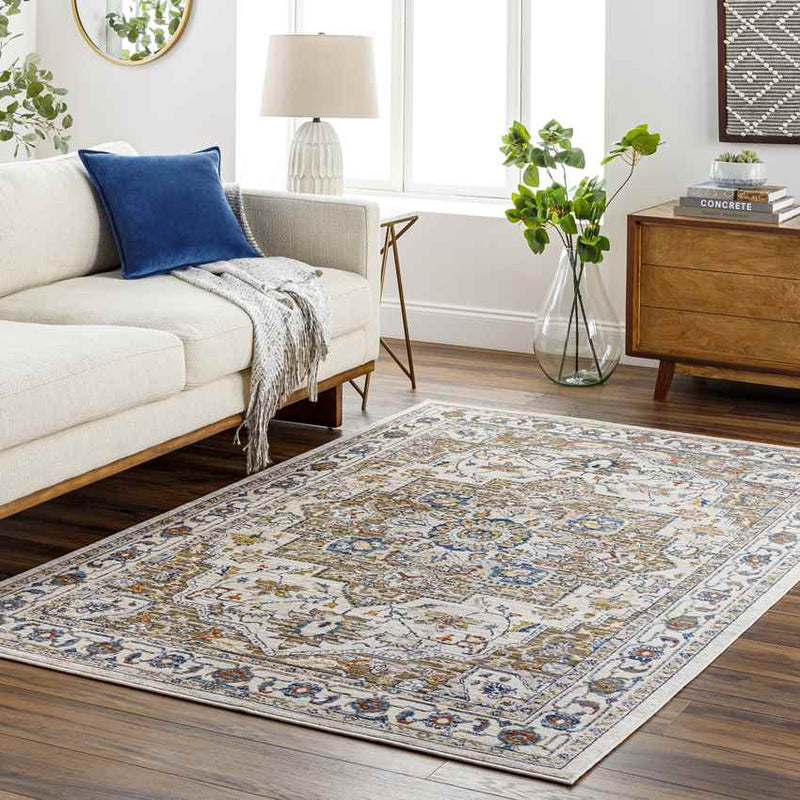 Asbury Traditional Brown Area Rug