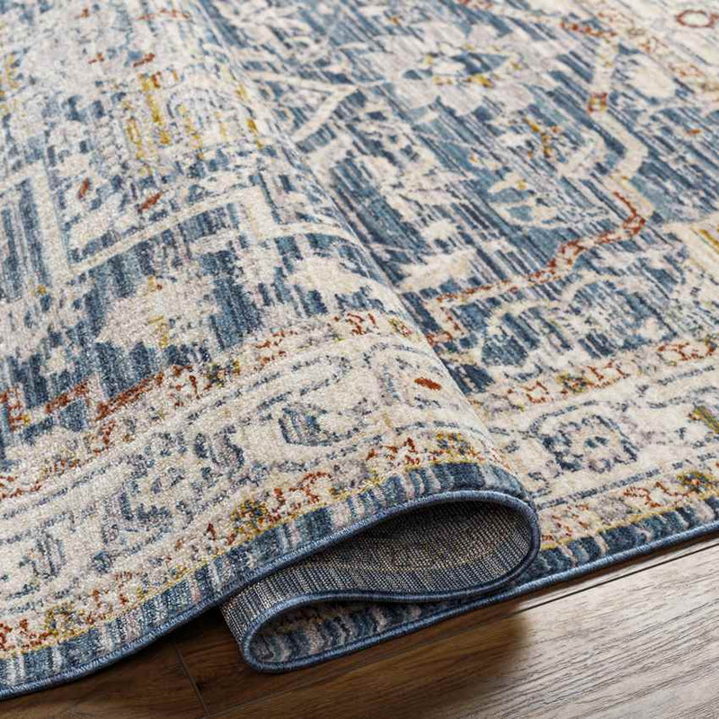 Asbury Traditional Denim Area Rug