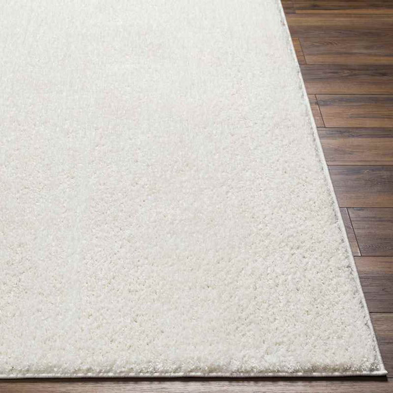 Richlawn Modern Light Beige Washable Area Rug