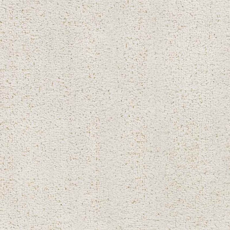 Richlawn Modern Light Beige Washable Area Rug