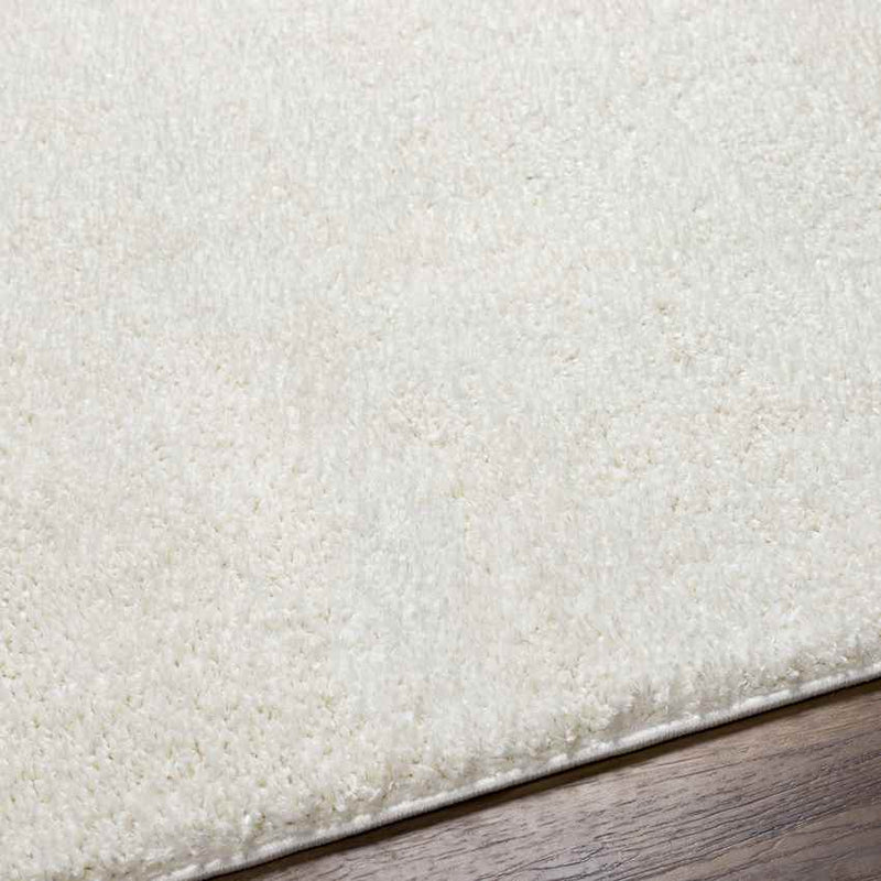 Richlawn Modern Light Beige Washable Area Rug