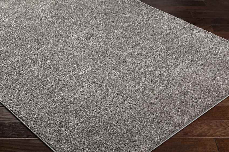 Richlawn Modern Charcoal Gray Washable Area Rug