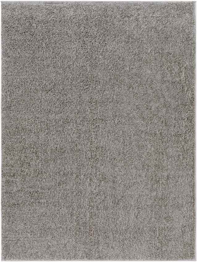 Richlawn Modern Charcoal Gray Washable Area Rug