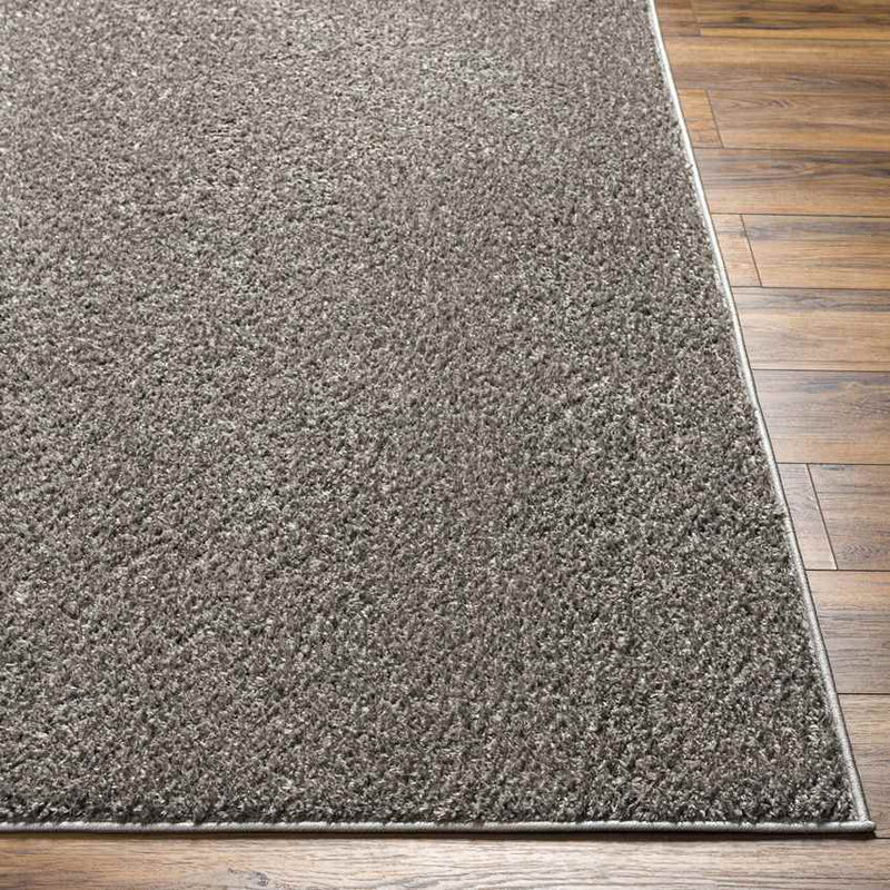 Richlawn Modern Charcoal Gray Washable Area Rug