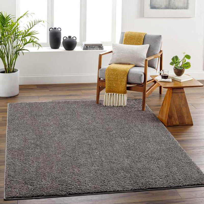 Richlawn Modern Charcoal Gray Washable Area Rug