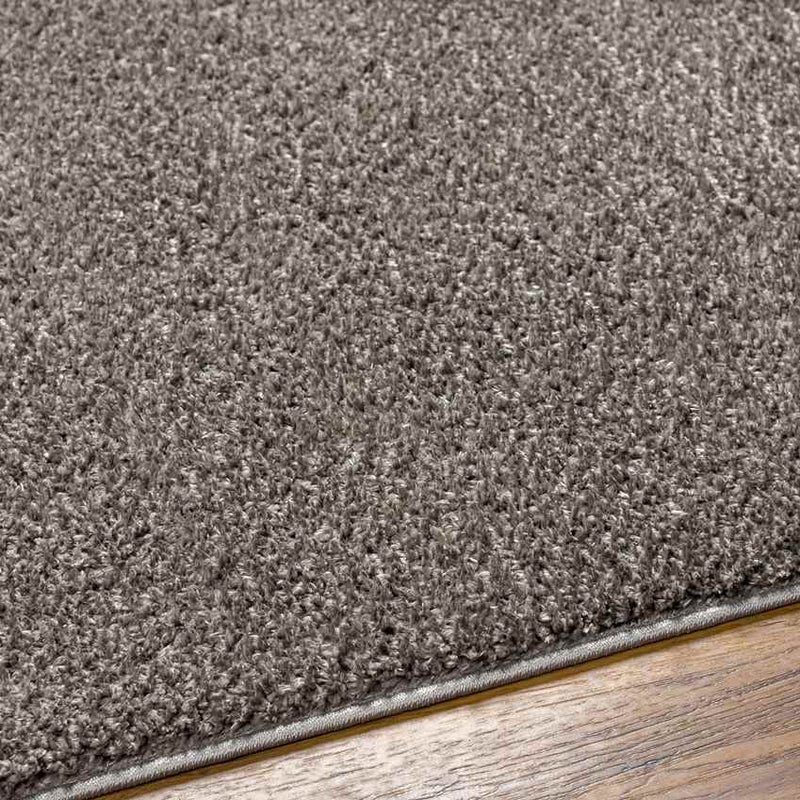 Richlawn Modern Charcoal Gray Washable Area Rug