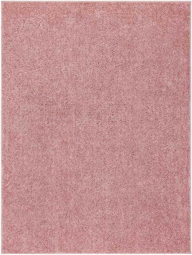 Richlawn Modern Coral Pink Washable Area Rug