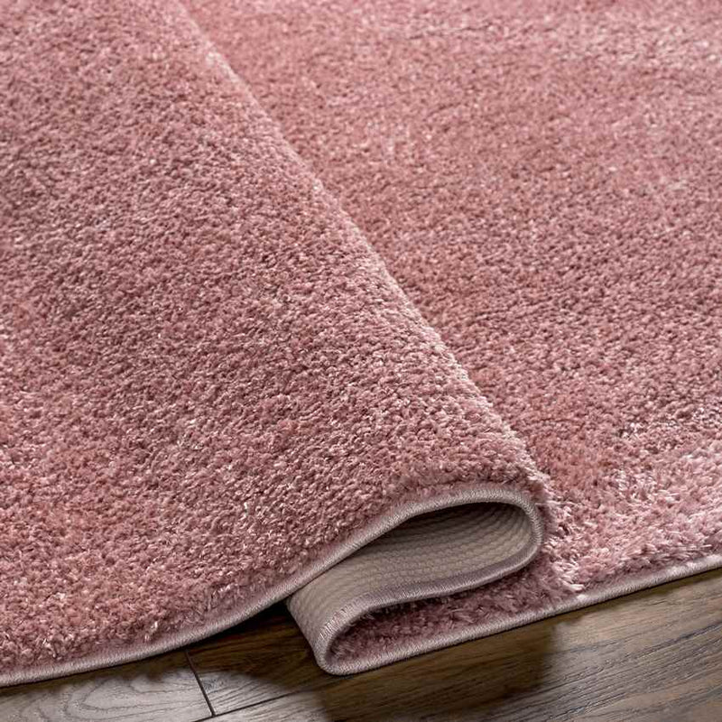 Richlawn Modern Coral Pink Washable Area Rug