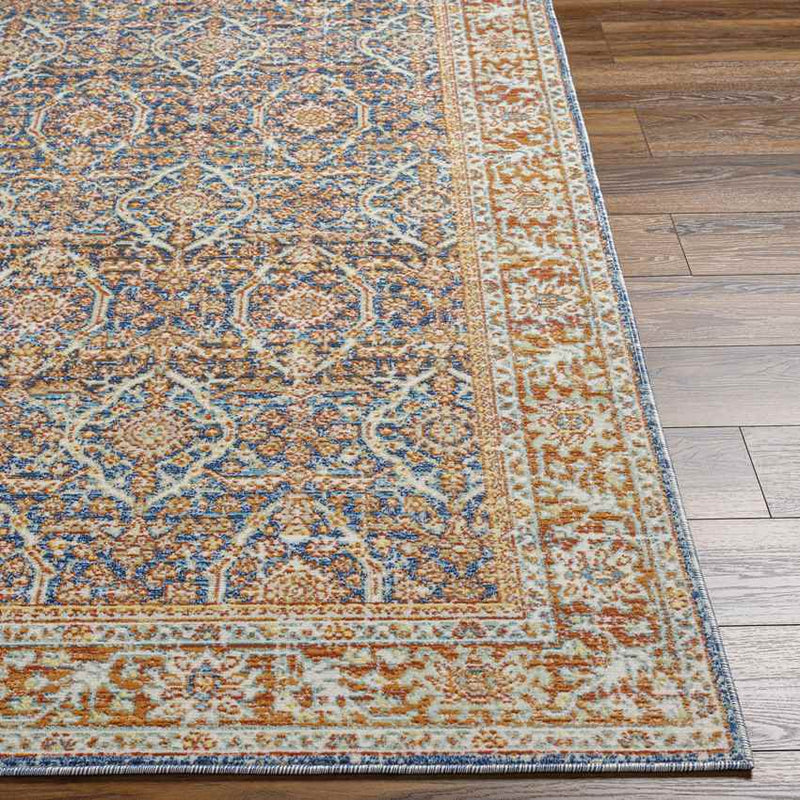 Rodman Traditional Orange Area Rug