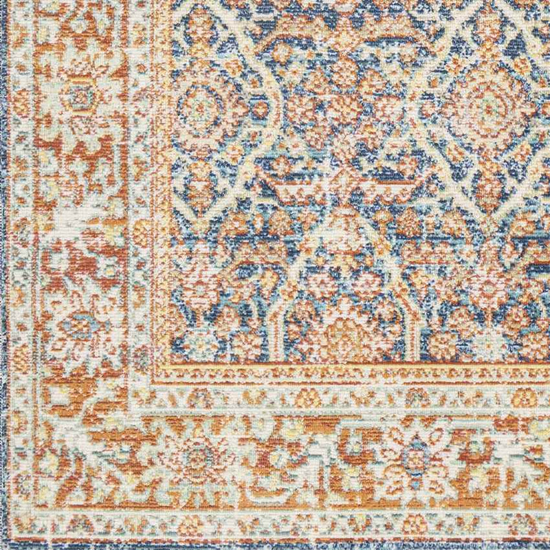 Rodman Traditional Orange Area Rug