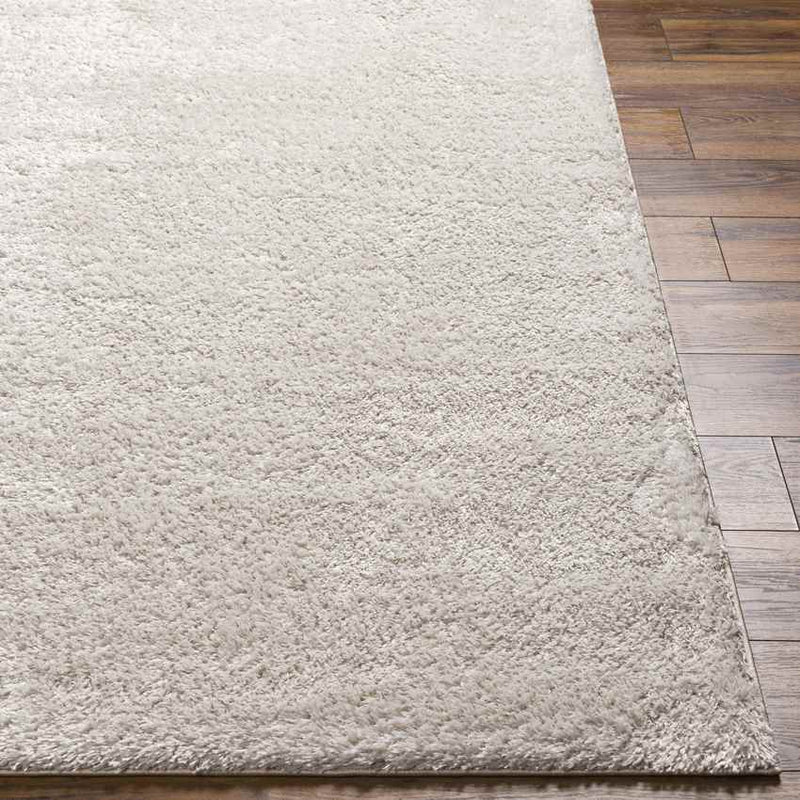 Boxholm Modern Light Gray Area Rug