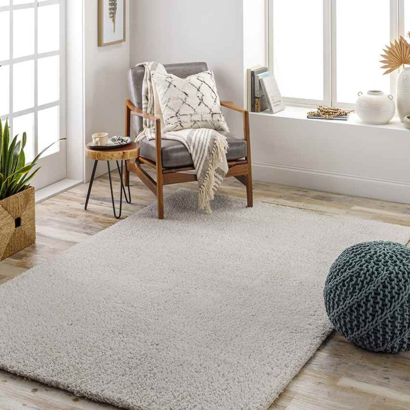 Boxholm Modern Light Gray Area Rug