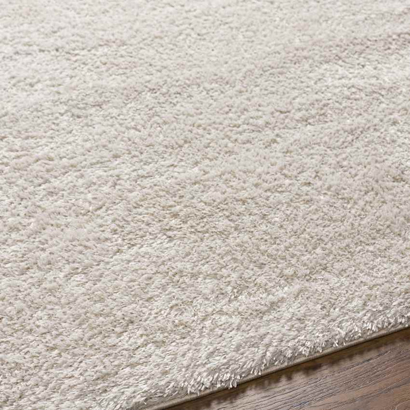 Boxholm Modern Light Gray Area Rug