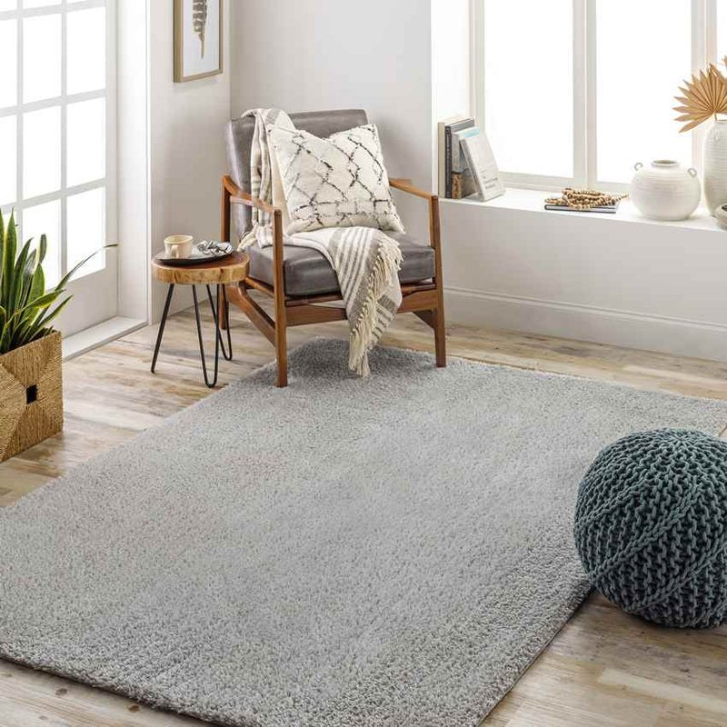 Boxholm Modern Gray Area Rug