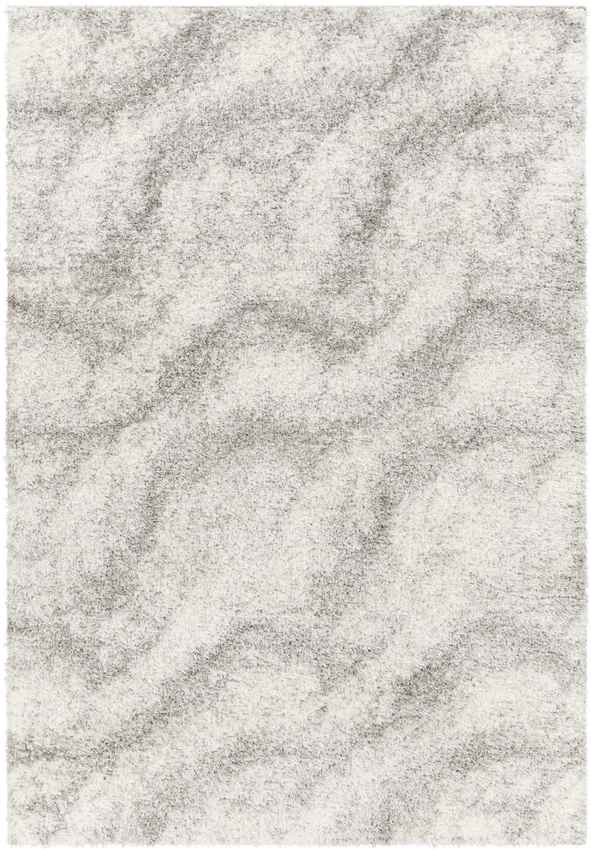 Boyden Modern Gray Area Rug