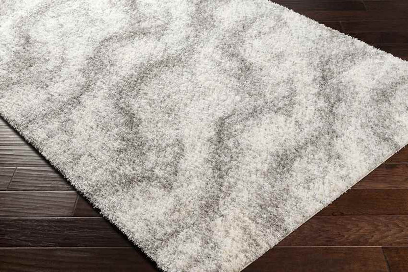 Boyden Modern Gray Area Rug