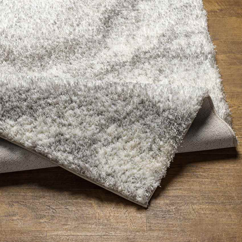 Boyden Modern Gray Area Rug