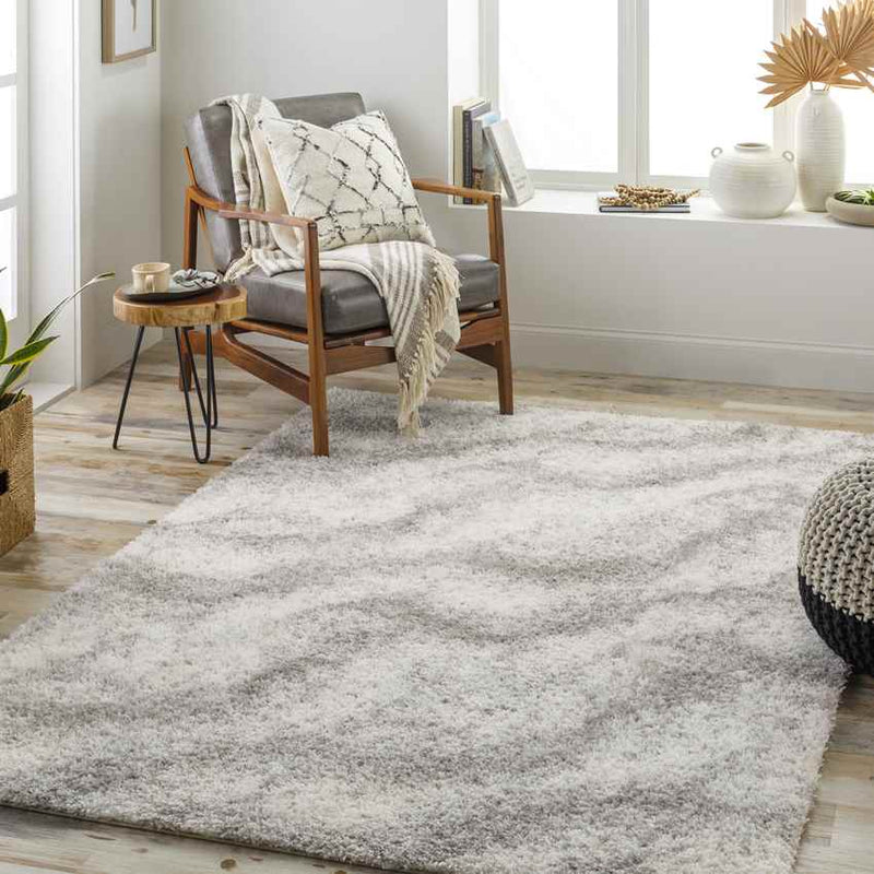 Boyden Modern Gray Area Rug