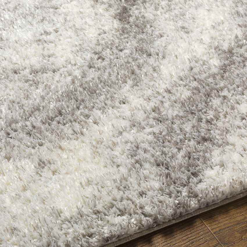 Boyden Modern Gray Area Rug