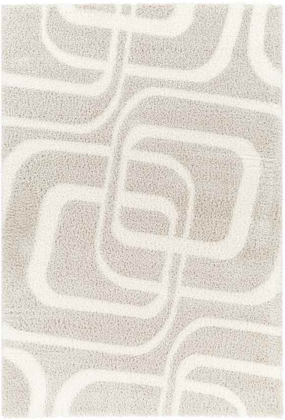 Bradgate Modern Light Gray Area Rug